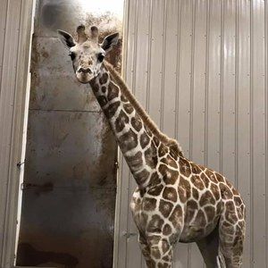 Meet your Posher, Marci